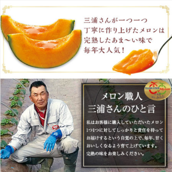 三浦さんのメロン（２玉）３．２ｋｇ前後-７月中旬ー９月上旬お届け-食品通販のベルーナグルメ【公式】-07-19-2025_06_02_PM
