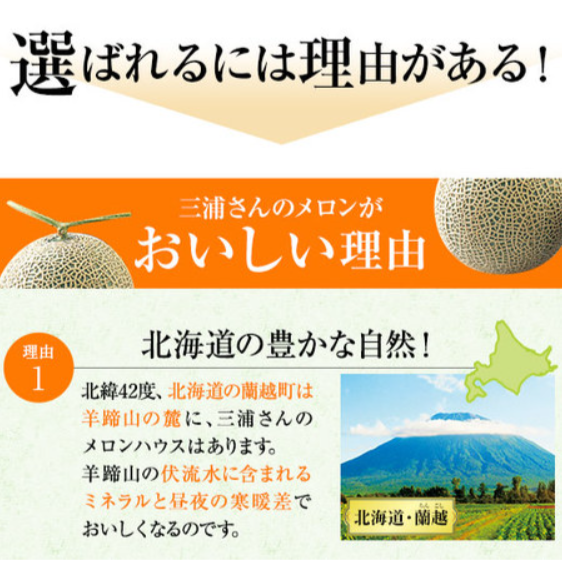 三浦さんのメロン（２玉）３．２ｋｇ前後-７月中旬ー９月上旬お届け-食品通販のベルーナグルメ【公式】-07-19-2025_06_03_PM