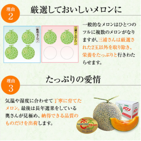 三浦さんのメロン（２玉）３．２ｋｇ前後-７月中旬ー９月上旬お届け-食品通販のベルーナグルメ【公式】-07-19-2025_06_04_PM