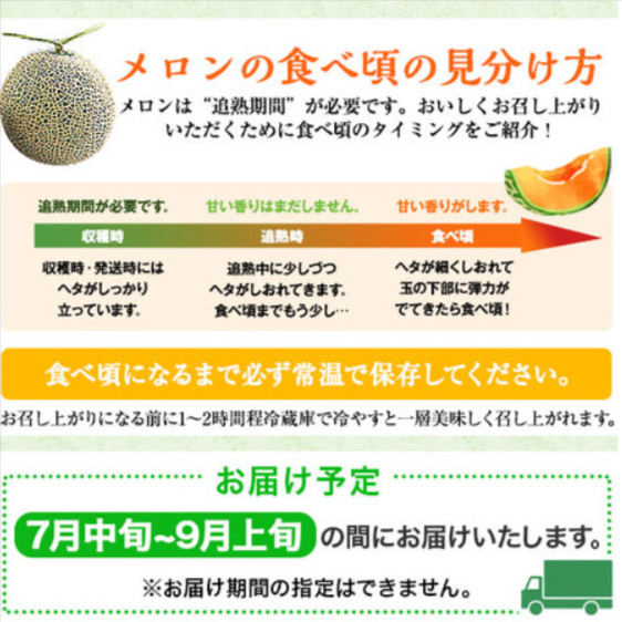 三浦さんのメロン（２玉）３．２ｋｇ前後-７月中旬ー９月上旬お届け-食品通販のベルーナグルメ【公式】-07-19-2025_06_06_PM