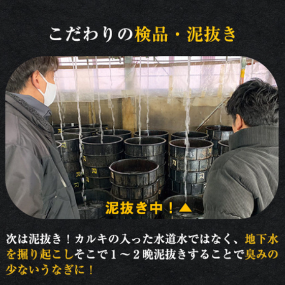 愛知県三河産うなぎ蒲焼-１２０ｇ-３尾【父の日お届け】-食品通販のベルーナグルメ【公式】-05-07-2025_11_28_PM