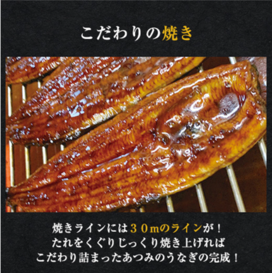 愛知県三河産うなぎ蒲焼-１２０ｇ-３尾【父の日お届け】-食品通販のベルーナグルメ【公式】-05-07-2025_11_32_PM