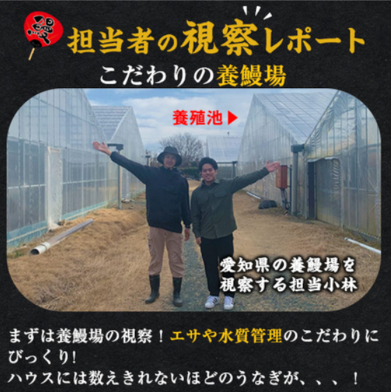 愛知県三河産うなぎ蒲焼-１２０ｇ-５尾【１０日前後お届け】-食品通販のベルーナグルメ【公式】-06-14-2025_04_02_PM