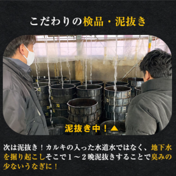 愛知県三河産うなぎ蒲焼-１２０ｇ-５尾【１０日前後お届け】-食品通販のベルーナグルメ【公式】-06-14-2025_04_03_PM