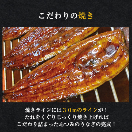 愛知県三河産うなぎ蒲焼-１２０ｇ-５尾【１０日前後お届け】-食品通販のベルーナグルメ【公式】-06-14-2025_05_16_PM