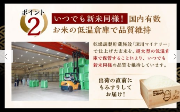 2026年2月発送分】-《令和7年産》-北海道深川産-ゆめぴりか４