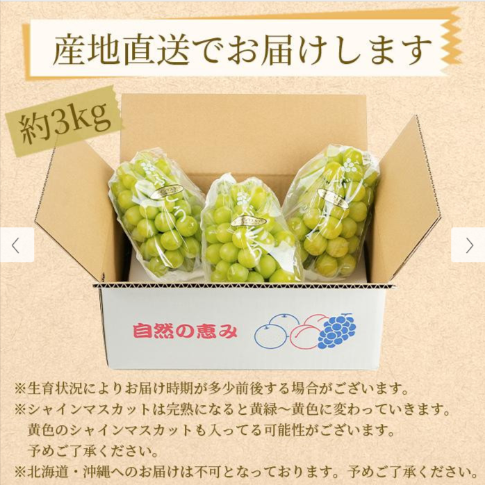 農園直送-朝採り-濃厚-シャインマスカット-約3kg-【先行予約】-AO058-和歌山県有田川町-日本最大級の還元率！ふるさと納税ならふるさと本舗-09-05-2025_11_16_PM