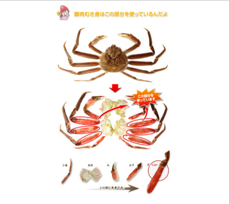 536：【かにしゃぶ用】特大６Ｌ～４Ｌ生ずわい脚肉むき身３０～４０本（約１kg）-厳選特産品専門店-匠本舗-10-13-2025_08_49_AM