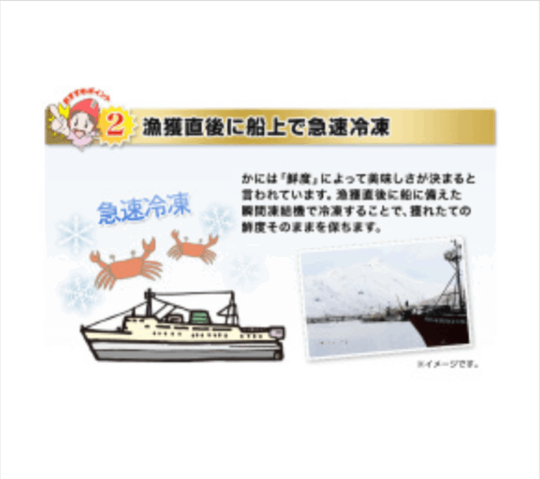 644：超特大8L生たらばがに肩脚1肩-総重量約1-8kg-厳選特産品専門店-匠本舗-10-13-2025_12_18_AM